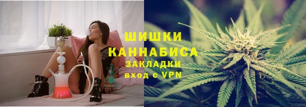 тгк Каменногорск