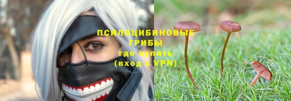 герыч Каменка