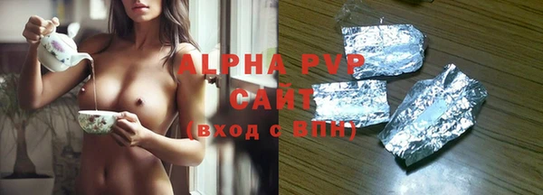 тгк Каменногорск