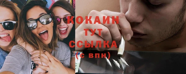 тгк Каменногорск