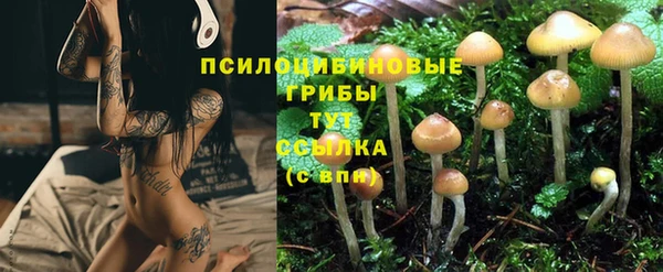 тгк Каменногорск
