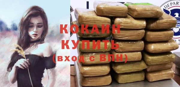 тгк Каменногорск