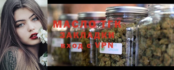 тгк Каменногорск
