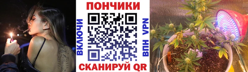 Купить  Городище  Каннабис OG Kush 